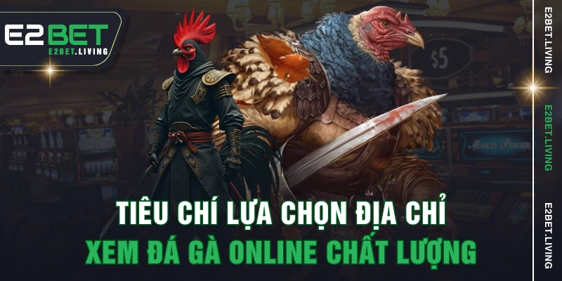 Tiêu chí lựa chọn địa chỉ xem đá gà online chất lượng