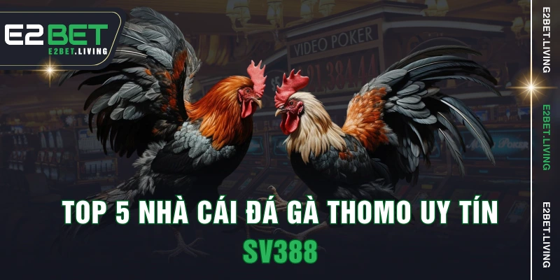 Top 5 nhà cái đá gà Thomo uy tín - SV388