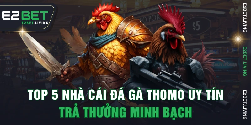 Top 5 Nhà Cái Đá Gà Thomo Uy Tín, Trả Thưởng Minh Bạch